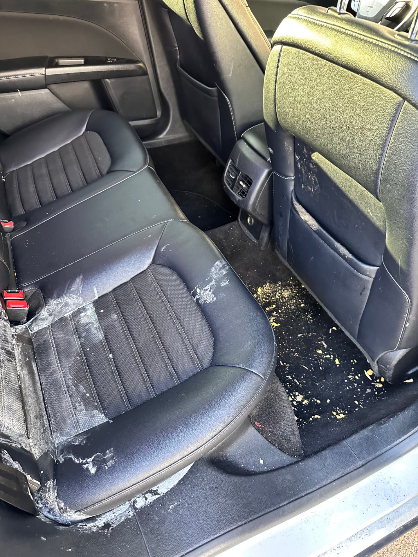 Sedan back seat interior before detailing